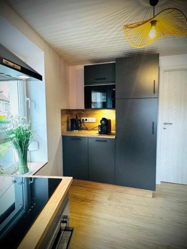 Il comprend une cuisine équipée d'appareils noirs et d'un ventilateur de plafond. dans l'établissement La Tanière du Katz, à Dabo