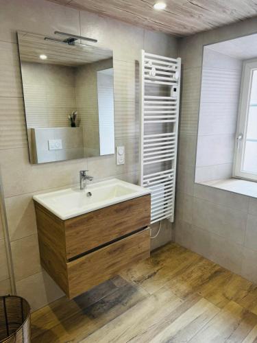 une salle de bain avec un lavabo et un miroir dans l'établissement La Tanière du Katz, à Dabo