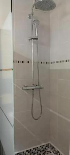 une douche avec pommeau de douche dans une salle de bain dans l'établissement Studio accueillant à Les Carroz, 27 m², vue montagne, aux Carroz d'Arâches