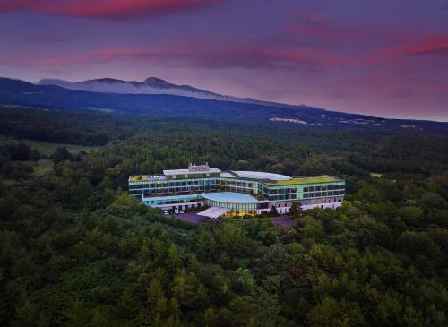 an aerial view of a building in the woods at WE Hotel Jeju in Seogwipo