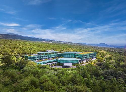 an aerial view of a building in the trees at WE Hotel Jeju in Seogwipo