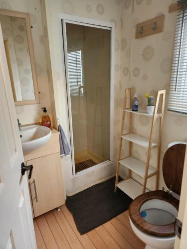 une salle de bain avec une douche, des toilettes et un lavabo dans l'établissement MOBIL-HOME 6 pers, 40 M2, 2 CH, 2 SDB, à Saint-Augustin