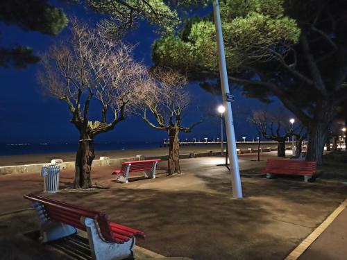 Family cocoon in Arcachon center