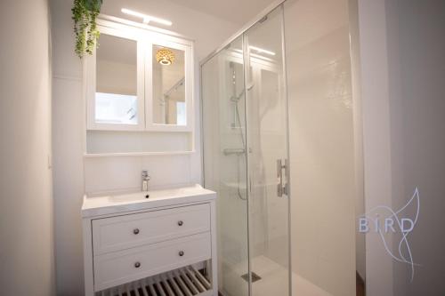 une salle de bain avec un lavabo et une douche en verre dans l'établissement Bright pied-à-terre WilsonAntibes, à Antibes