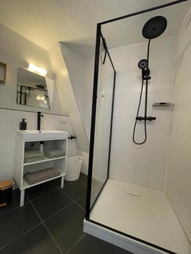 a shower with a glass door in a bathroom at Bed and Breakfast de Salix in Hitzum