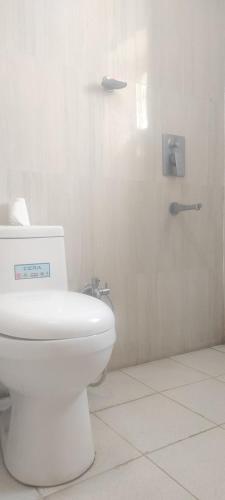 a white bathroom with a toilet and a shower at Greenview Turtuk in Turtok