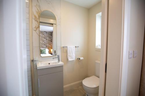 a bathroom with a toilet and a sink and a mirror at The Oyster House in Clarinbridge