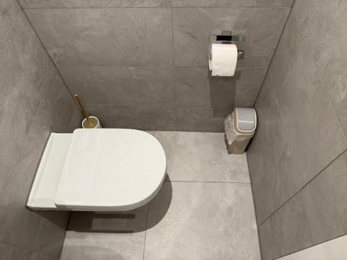 a bathroom with a toilet and a roll of toilet paper at Milis Apartments in Radolfzell am Bodensee