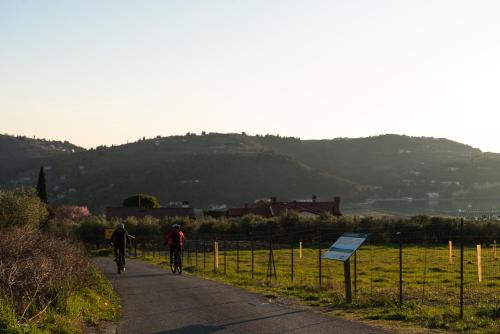 two people are riding bikes down a road at Villa Yadranka with Sea view in Strunjan