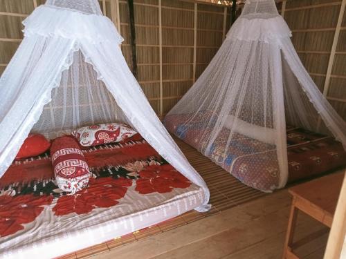 two beds in a room with mosquito nets at Baracuda Homestay in Airborei