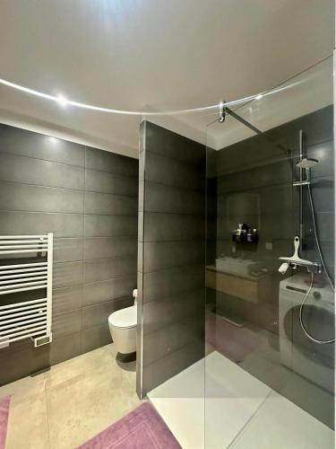 une salle de bain avec une douche en verre et des toilettes dans l'établissement Appartement neuf confortable, à LʼÎle-Rousse