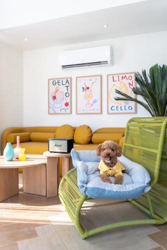 a teddy bear sitting in a chair in a living room at Maldives Beach Resort in Chao Lao Beach