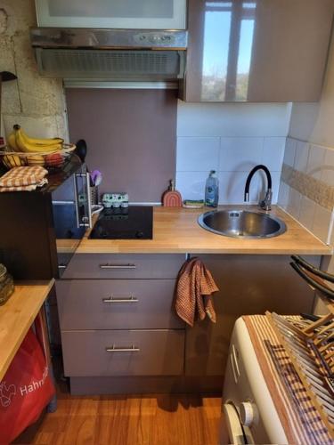 Il comprend une petite cuisine avec un évier et un comptoir. dans l'établissement Très agréable studio au calme, à Bordeaux