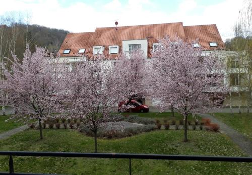 Charming 3-star furnished tourist accommodation in Barr