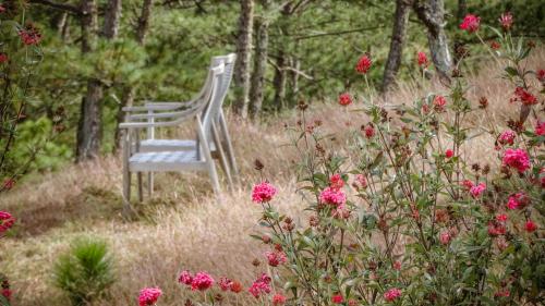 a white chair sitting in a field of flowers at Triền Thông An Nhiên in Da Lat
