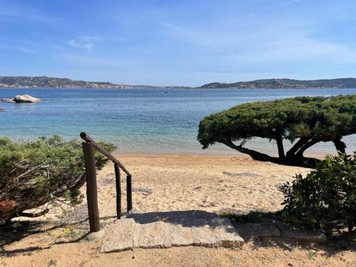 Natuurlandschap vlak bij het appartement