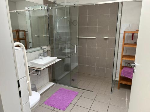 a bathroom with a shower and a sink and a toilet at Haus Potosi, Travemünde in Lübeck