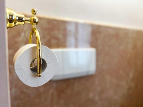 a roll of toilet paper hanging from a wall at La Collina delle Acacie in Grumolo Pedemonte