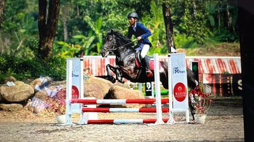 a person riding a horse jumping over an obstacle at Puunee Wild River Villa's Borobudur in Borobudur