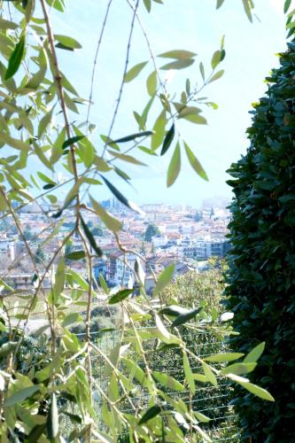 a view of a city from behind some trees at Casa Segantini - Panorama Pool Apartment in Gavazzo Nuova