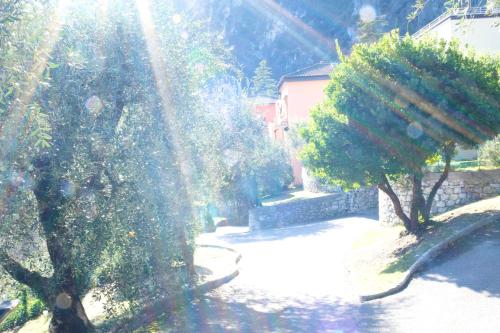 a view of a garden with trees and a building at Casa Segantini - Panorama Pool Apartment in Gavazzo Nuova