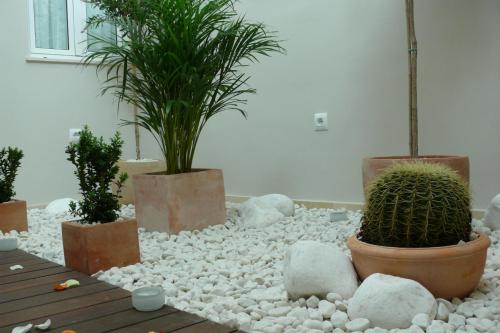 Φωτογραφία από το άλμπουμ του Hostal Albero by eme hoteles σε Sanlucar la Mayor