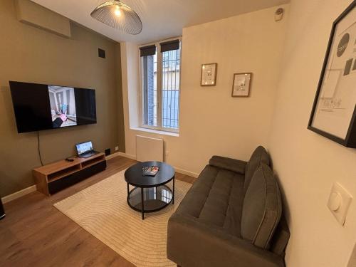un salon avec un canapé et une télévision dans l'établissement Charmant appartement aixois, à Aix-en-Provence