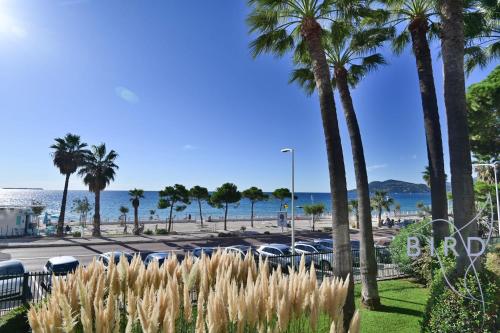 Breathtaking view of the big blue