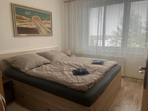 Postel nebo postele na pokoji v ubytování Cozy Apartment by the Forest