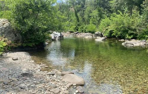 a river with green water and rocks and trees at 1 Bedroom Nice Home In Vignale in Vignale