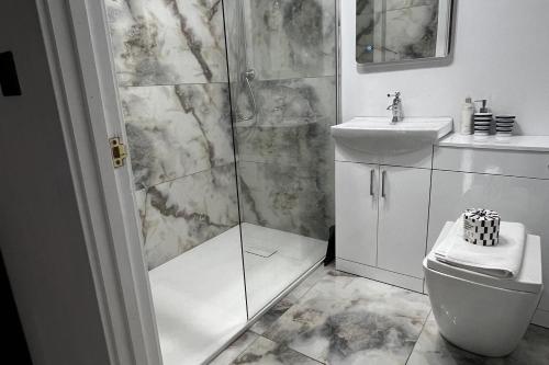 a bathroom with a shower and a toilet and a sink at Mumbles Seaside sleeps up 11 Pets allowed in Swansea