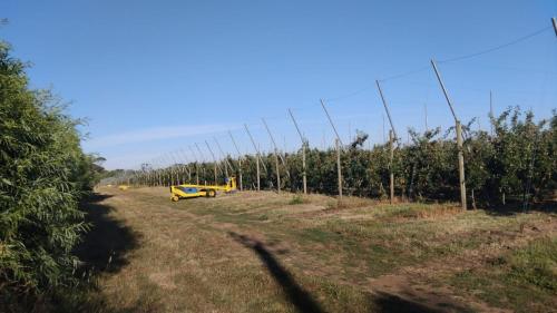 clôture en fil barbelé devant un verger de pommiers dans l'établissement La maisonnette, à Le Nayrac