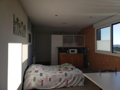 Η κουζίνα ή μικρή κουζίνα στο Independent room