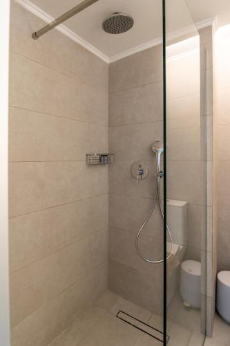a shower with a glass door in a bathroom at Melian Roots Studio in Adamas
