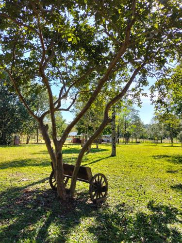 Gallery image of Los Lapachos Lodge in Puerto Libertad