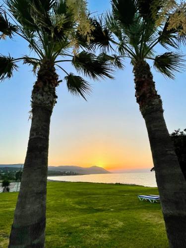 two palm trees with the sunset in the background at Souli Beach Hotel in Polis Chrysochous