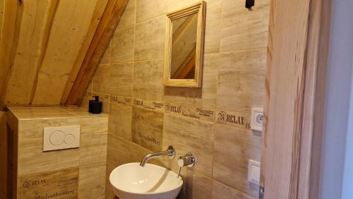 a bathroom with a sink and a mirror at Apartmany Nemo in Nemotice