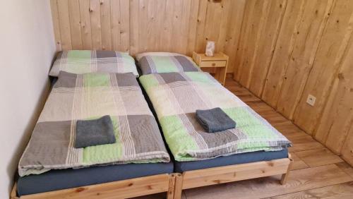 two beds in a room with wooden walls at Apartmany Nemo in Nemotice