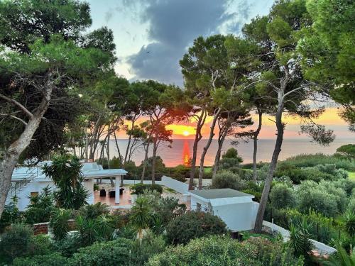 Naturlandskabet i nærheden af villaen