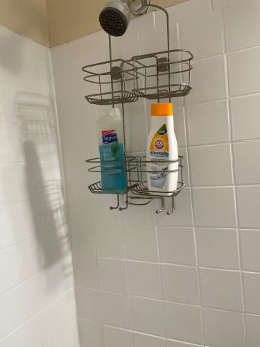 baño con estante con productos de limpieza en la pared en New Jersey Apt 1 bd, en Edison