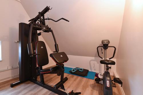 une salle de sport à domicile avec un tapis roulant et un vélo d'exercice dans l'établissement Appartement Beraweka avec Climatisation et Salle de Sport, à Colmar