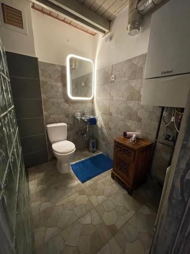 a small bathroom with a toilet and a sink at GreenPark Garden Villa Family Apartments Near Tokaj in Szerencs