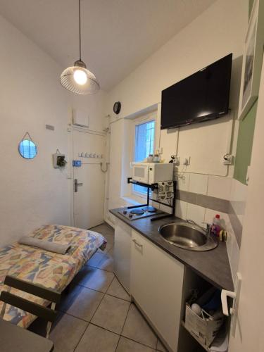 une petite cuisine avec un évier et un micro-ondes dans l'établissement Le mini Longchamp, à Marseille