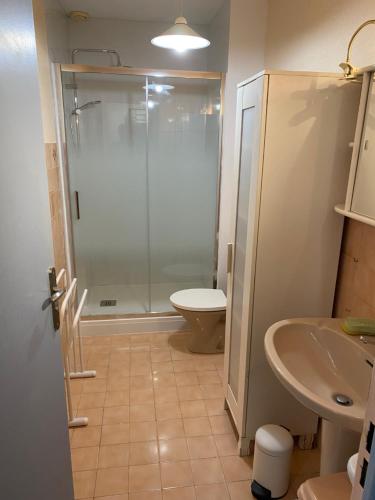 une salle de bain avec une douche, des toilettes et un lavabo dans l'établissement Appartement idéal famille, à Carqueiranne