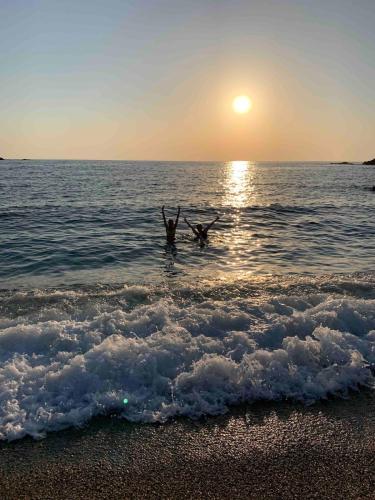 Φυσικό τοπίο κοντά σε αυτό το διαμέρισμα
