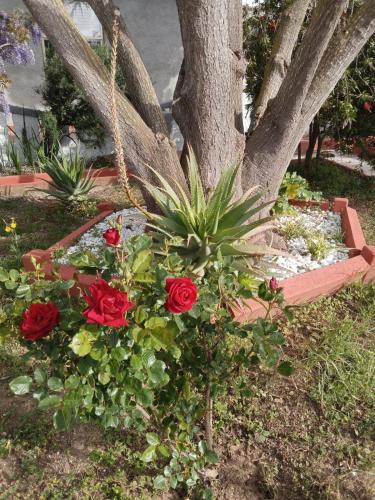 Κήπος έξω από το Apartment in villa with garden 1