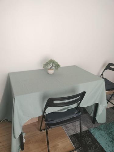 une table avec une plante en pot en haut dans l'établissement Favorite hangout, à Saint-Ouen