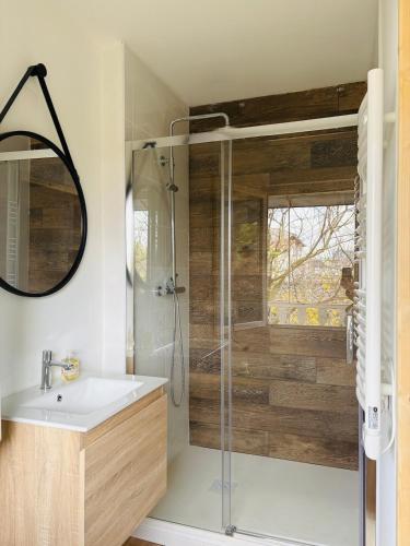 une salle de bain avec une douche avec un lavabo et un miroir dans l'établissement Studio Proche Gare & Centre Ville, à Castres