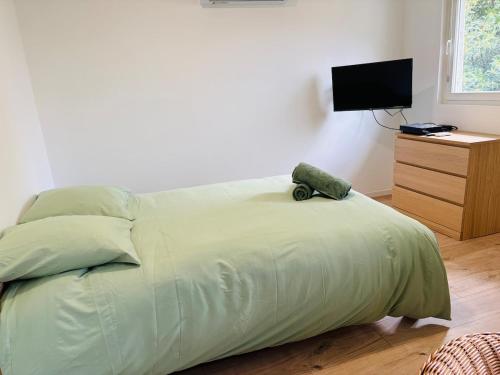 - un lit avec une couette verte dans une chambre dans l'établissement Studio Proche Gare & Centre Ville, à Castres