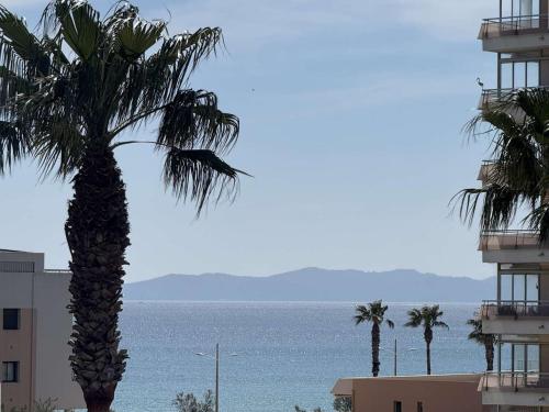 Appartement Climatisé 2 Étoiles avec Balcon, Proche Plage et Centre - Le Lavandou - FR-1-308-199